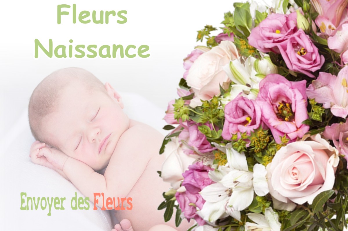 lIVRAISON FLEURS NAISSANCE à LE-NEUFOUR